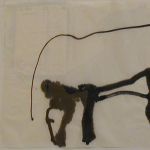 strong foreleg horse