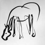 morganshorses